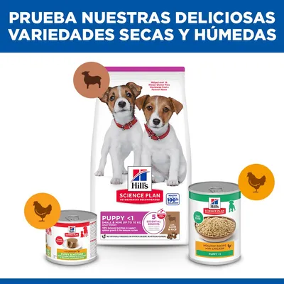 Hill`s Science Plan Puppy Small & Mini cordero y arroz Hill`s Science Plan Puppy Small & Mini cordero y arroz