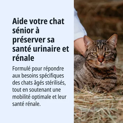 Aide les chats âgés et stérilisés à maintenir la santé urinaire et rénale, et à soutenir une mobilité optimale. Formulé spécialement pour répondre à leurs besoins spécifiques. Aide les chats âgés et stérilisés à maintenir la santé urinaire et rénale, et à soutenir une mobilité optimale. Formulé spécialement pour répondre à leurs besoins spécifiques.