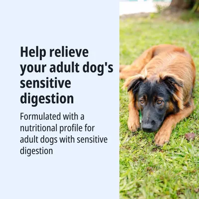 Virbac Veterinary HPM Adult Dog Sensitive Digest Large & Medium - dog dry food