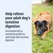 Virbac Veterinary HPM Adult Dog Sensitive Digest Large & Medium - dog dry food