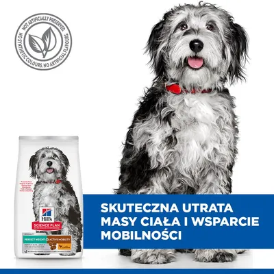 Hill's Science Plan Adult Perfect Weight & Active Mobility Medium, kurczak