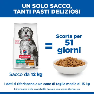 Hill's Science Plan Adult Perfect Weight & Active Mobility Medium con Pollo