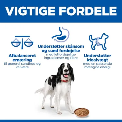 Hill's Science Plan Adult