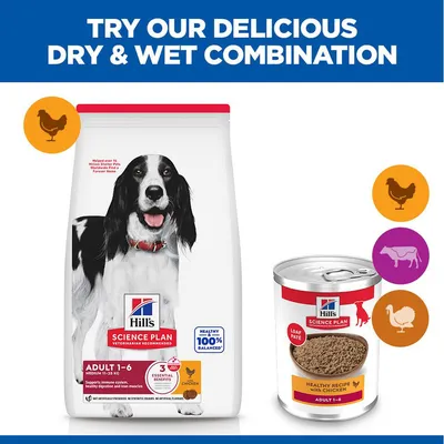 Hill's Science Plan Adult