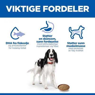 Hill's Science Plan Adult 1–6