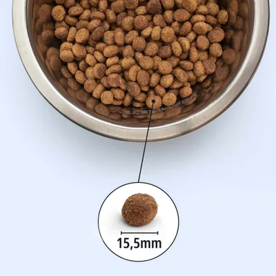 Kroketten im Napf, einzelne Krokette hervorgehoben mit Durchmesserangabe 15,5 mm.