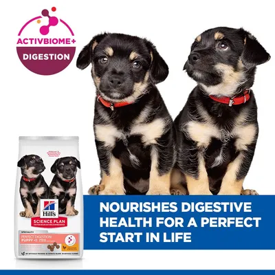 Hill's Science Plan Perfect Digestion Puppy <1 Medium csirke & barna rizs