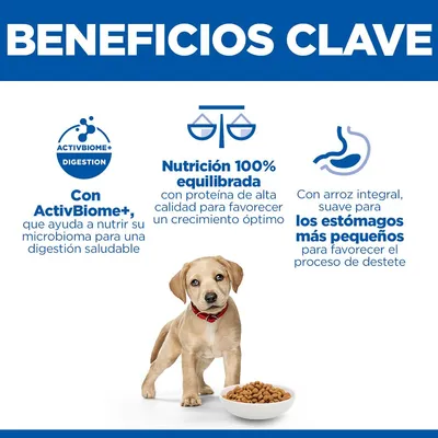 Hill's Science Plan Perfect Digestion Puppy Large pollo y arroz integral