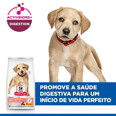 Hill's Large Puppy Perfect Digestion Puppy Large frango e arroz integral