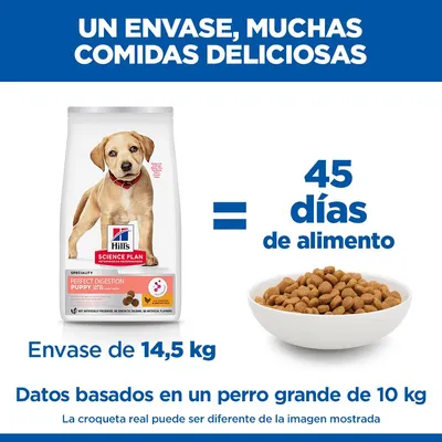 Hill's Science Plan Perfect Digestion Puppy Large pollo y arroz integral