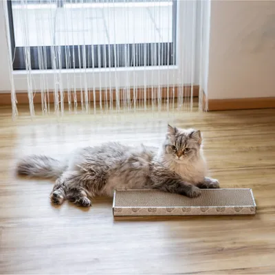 Langhaarige Katze liegt auf einem rechteckigen Kratzbrett aus Karton mit Blattmuster, platziert auf einem Holzboden vor einer Glastür.