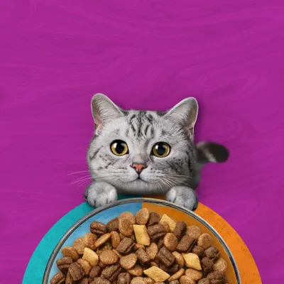 Whiskas 1+ Duo Surf & Turf tonhal & csirke