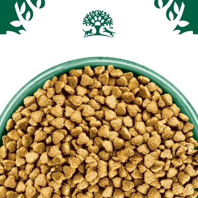 James Wellbeloved Puppy & Junior Hypoallergenic  - Lamb & Rice - 15kg