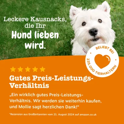 Zesty Paws Senior Allergy & Immunity Lachs