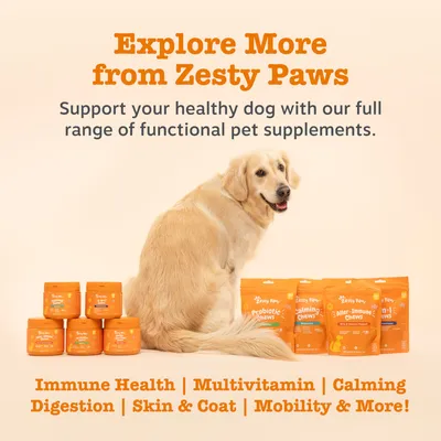 Zesty Paws prehransko dopolnilo za pse: imunsko zdravje, multivitamin, pomirjanje, prebava, koža & dlaka, gibljivost. Podprite zdravje svojega psa.