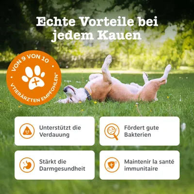 Zesty Paws Probiotic Chews Kürbis