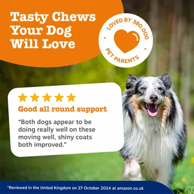 Zesty Paws Senior Advanced 9-in-1 Chews -Turkey - dog supplements - 50 Chews