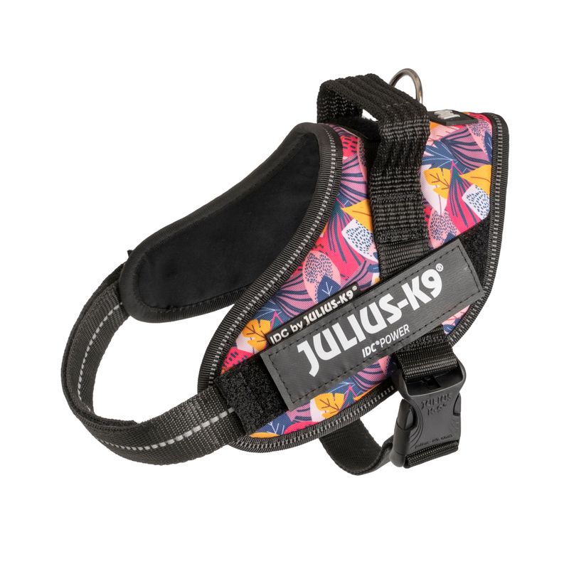 JULIUS-K9 IDC® Limited Edition powerhám, levélmintás