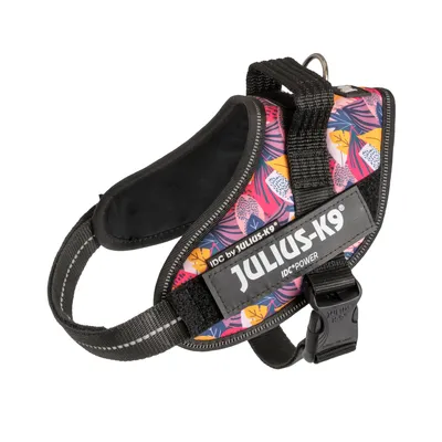 Edycja limitowana: Julius-K9 IDC® Power szelki dla psa Leaf 2