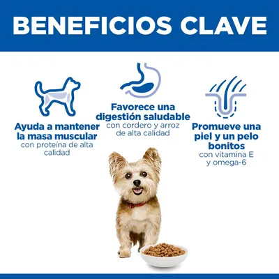 Hill's Science Plan Adult 1-6 Small & Mini cordero y arroz