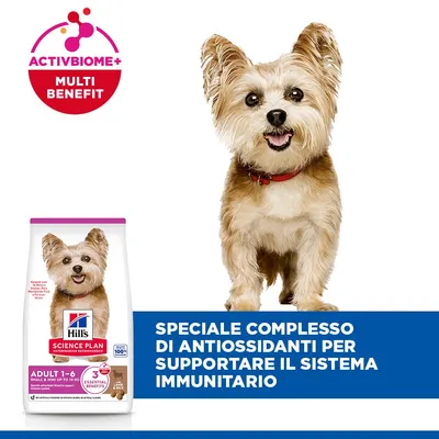 Hill's Science Plan Adult 1-6 Small & Mini con Agnello & Riso