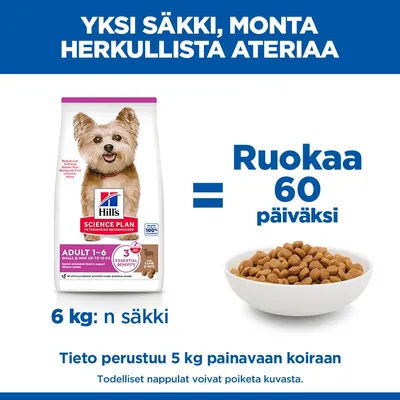 Hill's Science Plan Adult 1-6 Small & Mini lammas & riisi