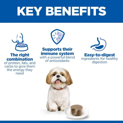 Hill's Science Plan Mature Small & Mini Mousse