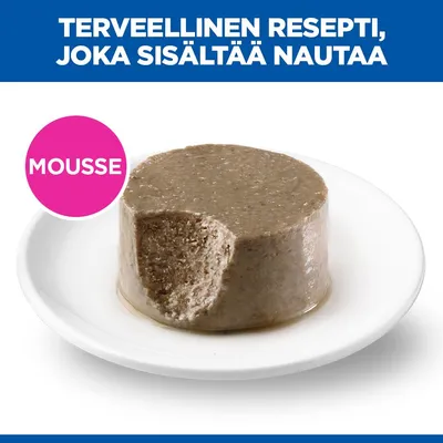 Mousse. Terveellinen resepti naudanlihalla. Mousse. Terveellinen resepti naudanlihalla.