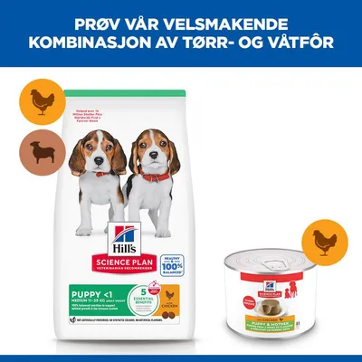 Hill's Science Plan  Puppy & Mother Tender Mousse