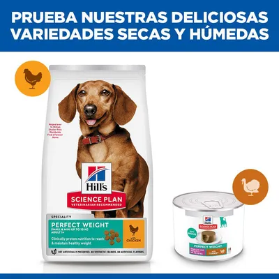 Hill's Science Plan Perfect Weight Adult Small & Mini Mousse