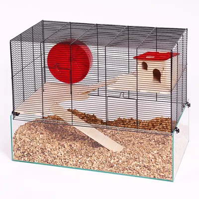 Hamster cage with glass base, wooden ramp, red exercise wheel and house with red roof. Metal mesh walls.