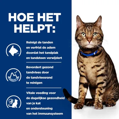 Hill's Prescription Diet t/d  Dental Health Kattenvoer met Kip