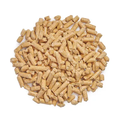 Nahaufnahme von braunen Pellets, möglicherweise Tierfutter oder Einstreu. Runde Form und gleichmäßige Größe sichtbar.