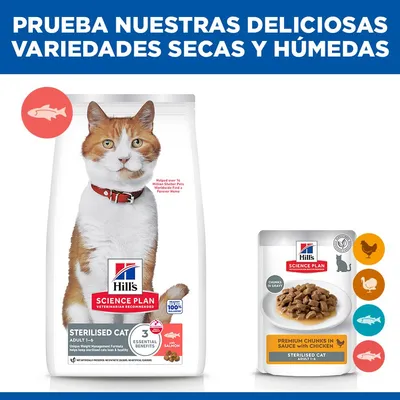 Hill's Science Plan Sterilised Cat Adult 1-6 salmón