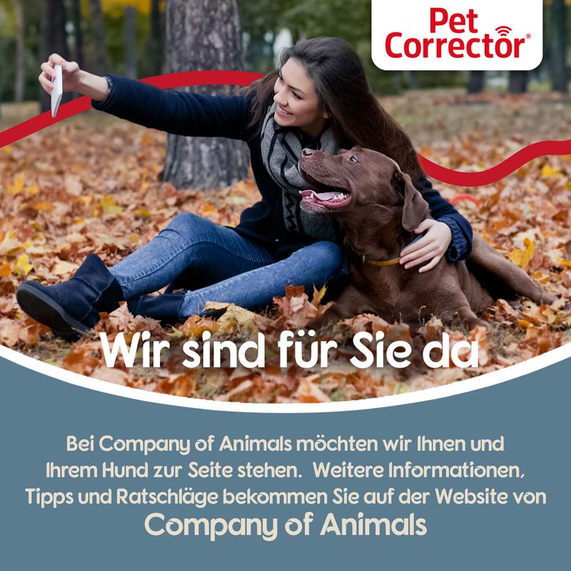 Pet Corrector Spray