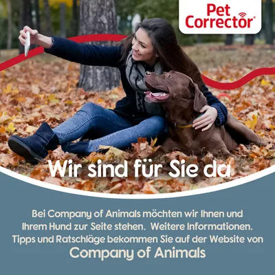 Spray Pet Corrector pour chien