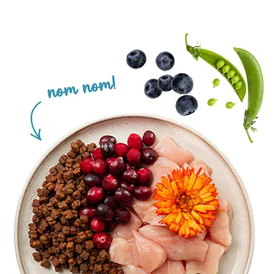 Teller mit Trockenfutter, rohem Fleisch, Cranberrys, Blüten, daneben Blaubeeren und Erbsenschote. Schriftzug: nom nom! Teller mit Trockenfutter, rohem Fleisch, Cranberrys, Blüten, daneben Blaubeeren und Erbsenschote. Schriftzug: nom nom!