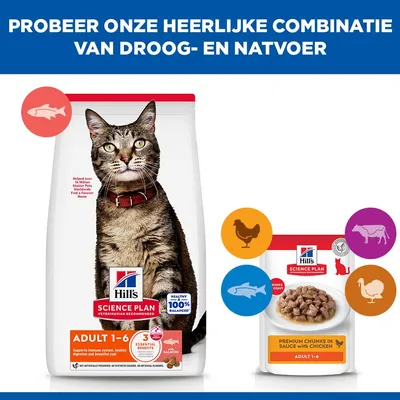 Hill's Science Plan Adult 1-6 Zalm