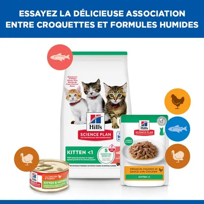 Hill's Science Plan Kitten <1 Saumon