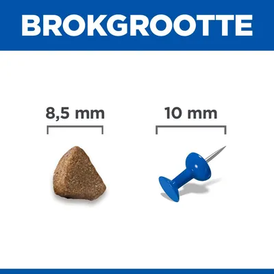 Hill's Science Plan Kitten <1 Zalm