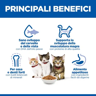 Hill's Science Plan Kitten <1 Salmone