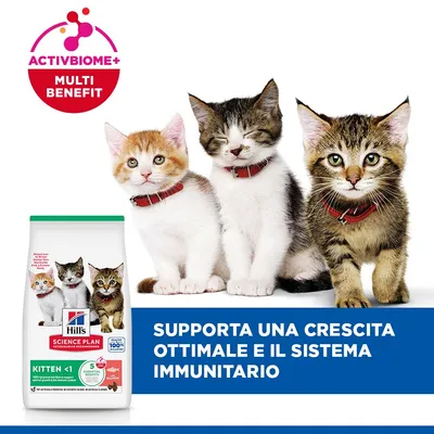Hill's Science Plan Kitten <1 Salmone