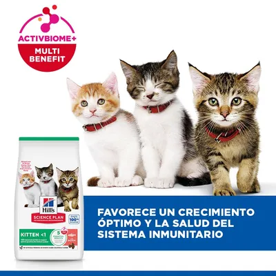 Hill's Science Plan Kitten <1 salmón