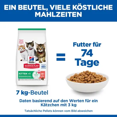 Hill's Science Plan Kitten <1 Lachs