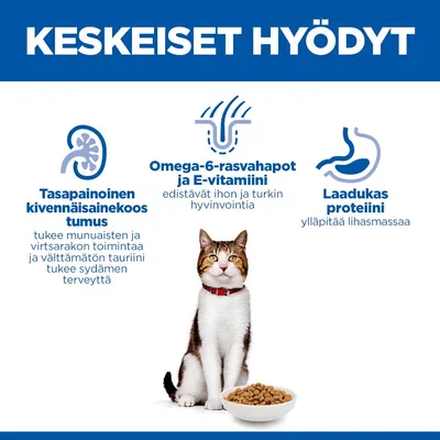 Grafiikka, jossa on kissa ja kuivaruokaa. Teksti: Tasapainoinen kivennäisainekoostumus, omega-6-rasvahapot ja E-vitamiini, laadukas proteiini. Hyödyt terveydelle ja turkille. Grafiikka, jossa on kissa ja kuivaruokaa. Teksti: Tasapainoinen kivennäisainekoostumus, omega-6-rasvahapot ja E-vitamiini, laadukas proteiini. Hyödyt terveydelle ja turkille.
