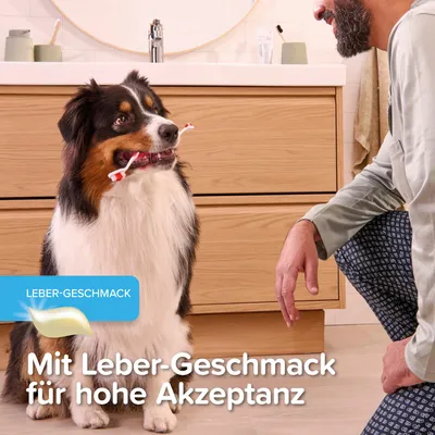 Hund mit Zahnbürste im Mund. Text: Mit Leber-Geschmack für hohe Akzeptanz.