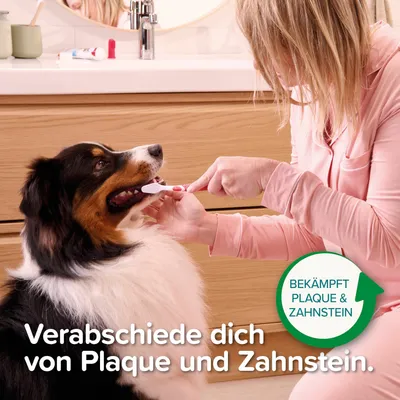 Beaphar Zahnpasta Pfefferminz & Petersilie