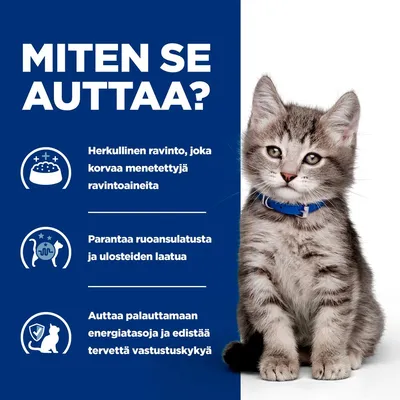 Hill's Prescription Diet i/d Digestive Care Kitten kana