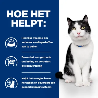 Productvoordelen: Voeding vult verloren voedingsstoffen aan, bevordert een gezonde spijsvertering en stoelgang, ondersteunt het energieniveau en het immuunsysteem. Kat naast infographic.