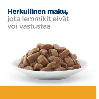 Kulhollinen ruskeita lihapaloja kastikkeessa. Teksti: Herkullinen maku, jota lemmikit eivät voi vastustaa. Kulhollinen ruskeita lihapaloja kastikkeessa. Teksti: Herkullinen maku, jota lemmikit eivät voi vastustaa.